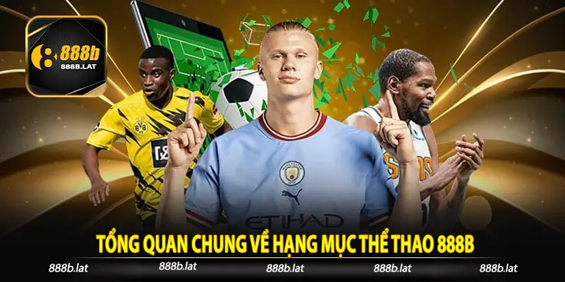 Tổng quan chung về hạng mục thể thao 888b